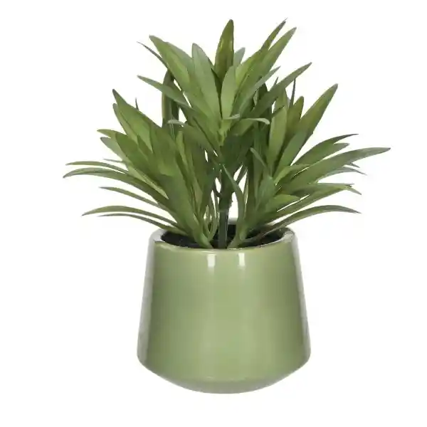 Planta Con Maceta 8 x 17 cm Casaideas