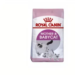 Royal Canin Alimento Para Gato Cat Mother And Babycat 1.5 Kg