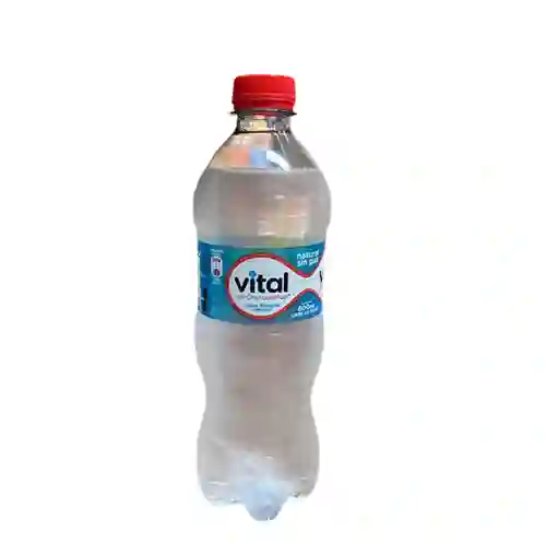 Agua Mineral Sin Gas 500cc
