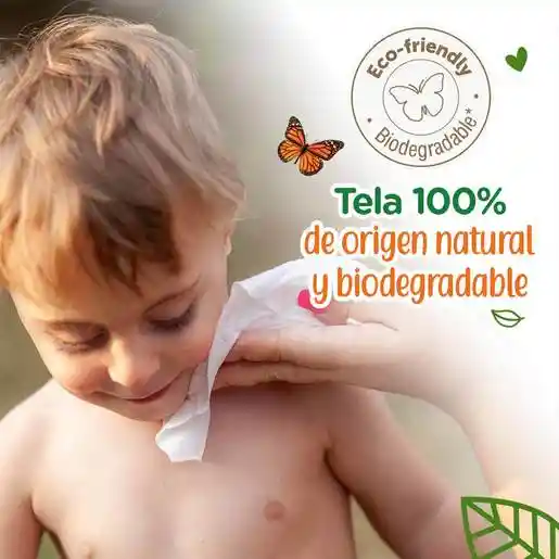 Bio Baby Toalla Humeda Ecologica 80Un