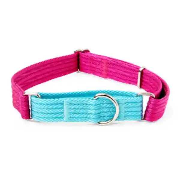 Everyyay Collar Martingale Turquesa  Perro Mediano