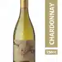 Diablo Golden Vino Blanco Chardonnay 750 cc