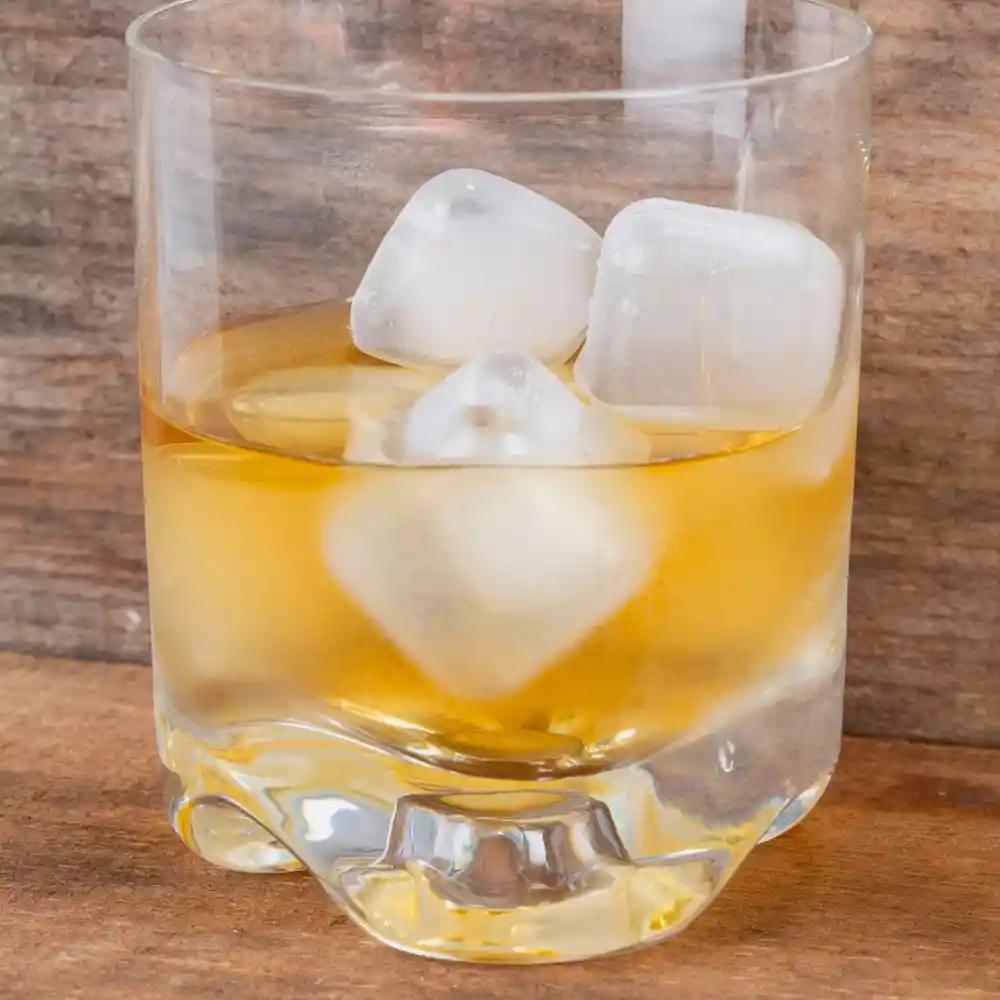 Kikkerland Cubos de Hielo Reutilizables