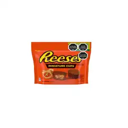 Reesses Chocolate Mini