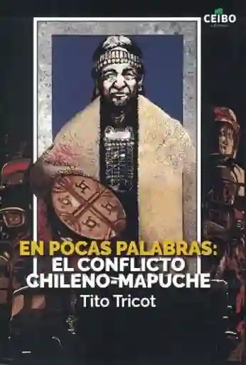 En Pocas Palabras: El Conflicto Chileno-Mapuche - Tricot Tito