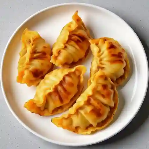Gyozas Fritas de Verduras y Cerdo