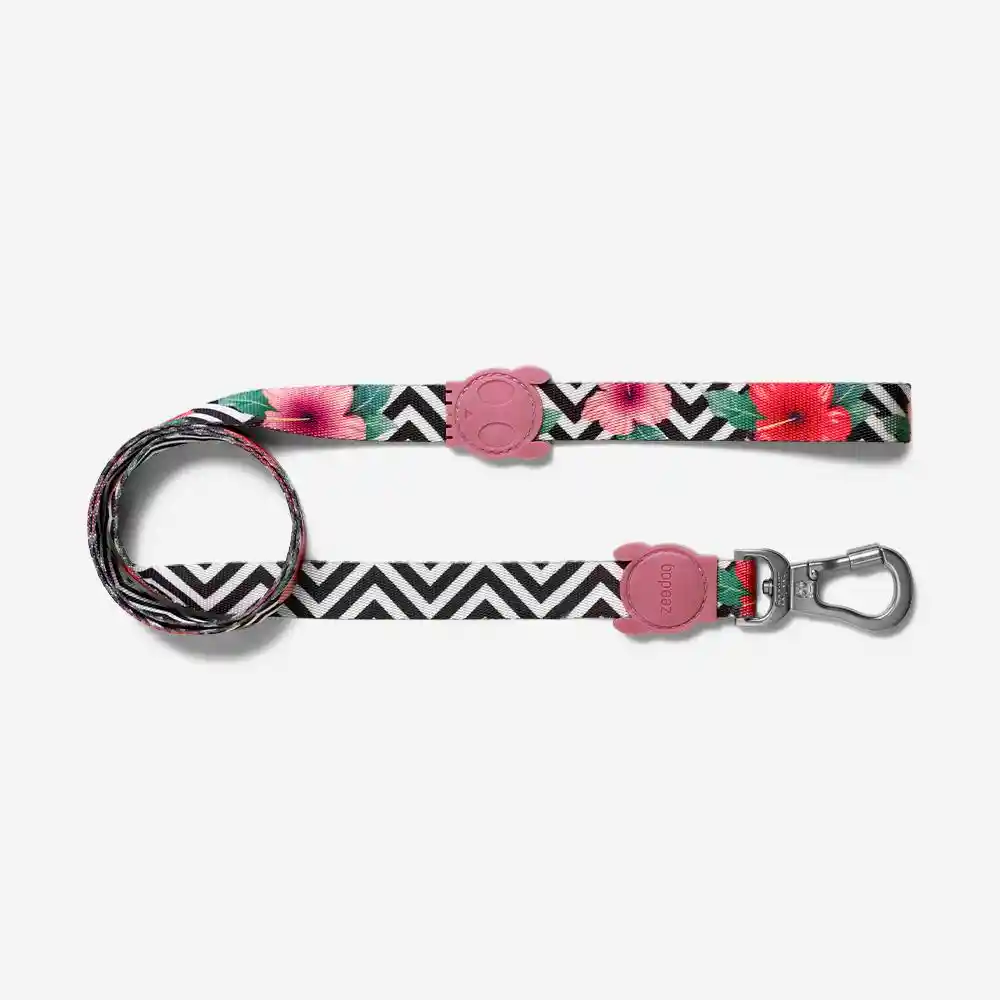 Zeedog Correa Mahalo Leash Extra Small