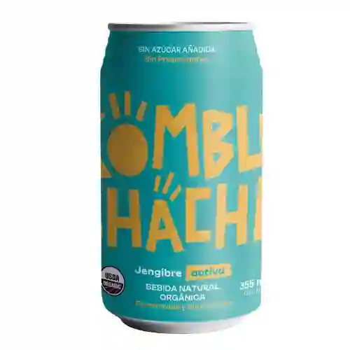 Kombucha Jengibre