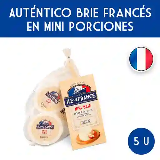 Brie Ile De France Queso Mini