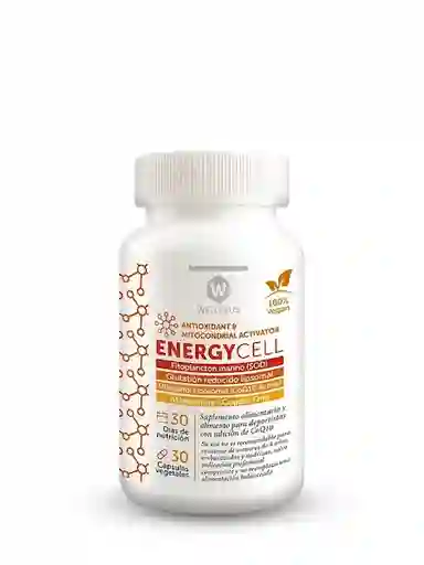 Wellplus Suplemento Alimenticio Energy Cell