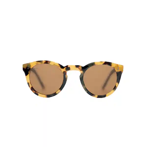 Lentes de Sol Akira Cheetah Brown Inztinto