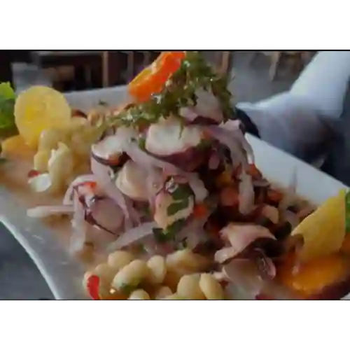 Ceviche de Pulpo