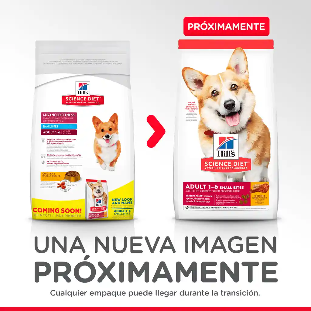 Raza Hill´S Alimentos Para Perro Adulto Pequeña 6.8 Kg