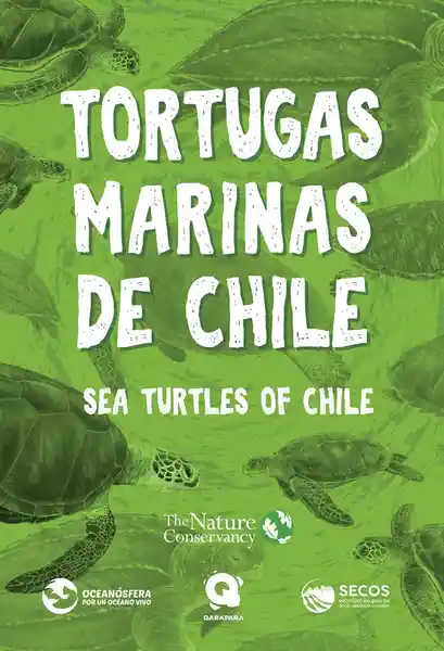 Tortugas Marinas de Chile - Zagal Carolina