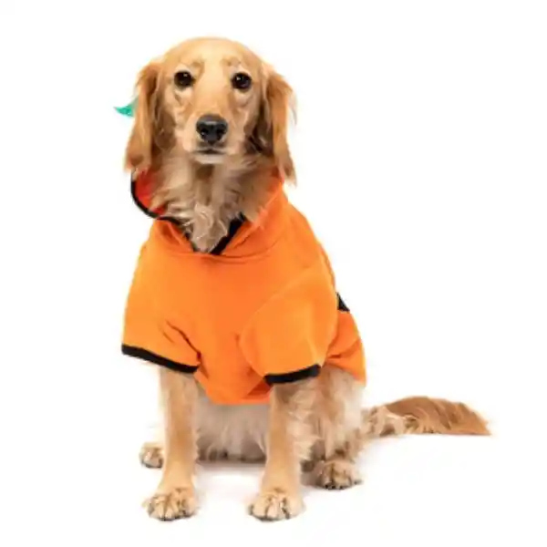 Bootique Polerón  Perro Con Bordado de Calabaza Grande