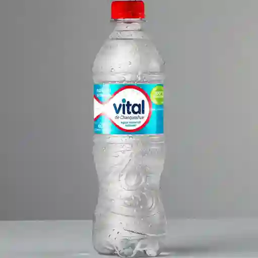 Agua mineral sin gas vital 600 ml