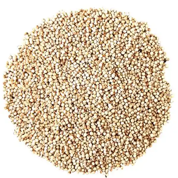 Quinoa Blanca