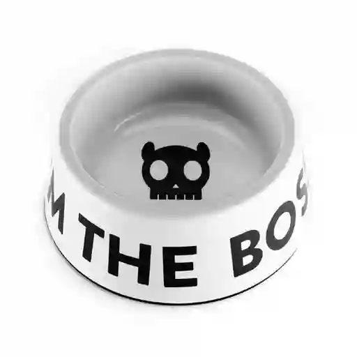 Zeedog Plato Bowl The Boss White Small 900 mL