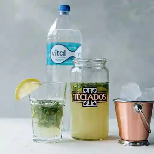 1 Mezcla Mojito