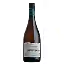 Cartagena Casa Marin Vino Sauvignon Blanc Botella 750 cc