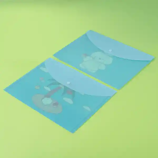 Set Folder Miniso