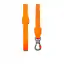 Correa Zee Dog Neopro Tangerine Mediana