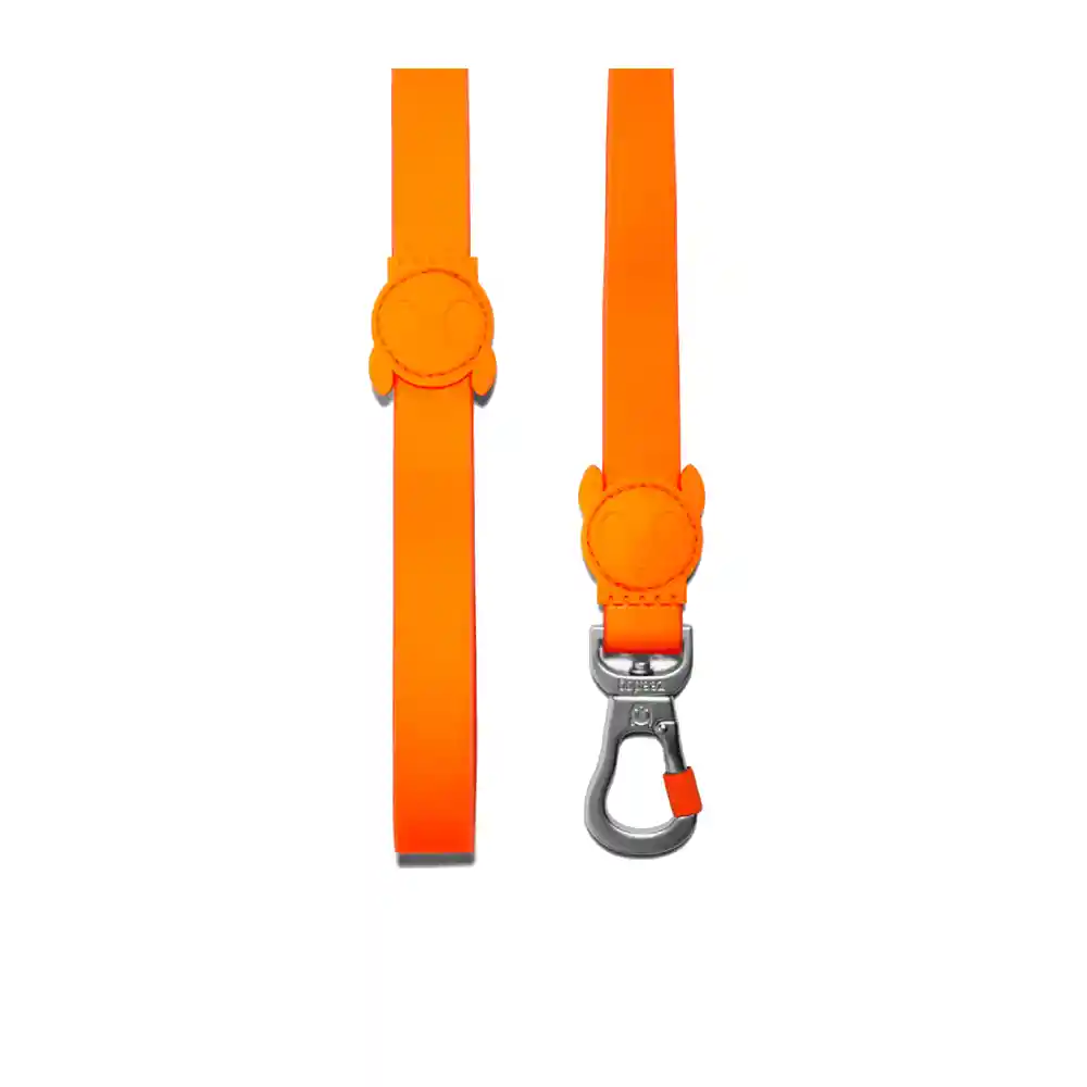 Correa Zee Dog Neopro Tangerine Mediana