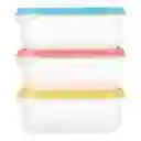 Miniso Set de Contenedor Plástico Color Mixto Capacidad 650 mL