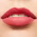 Kiss Mac Labial Powdera Little Tamed