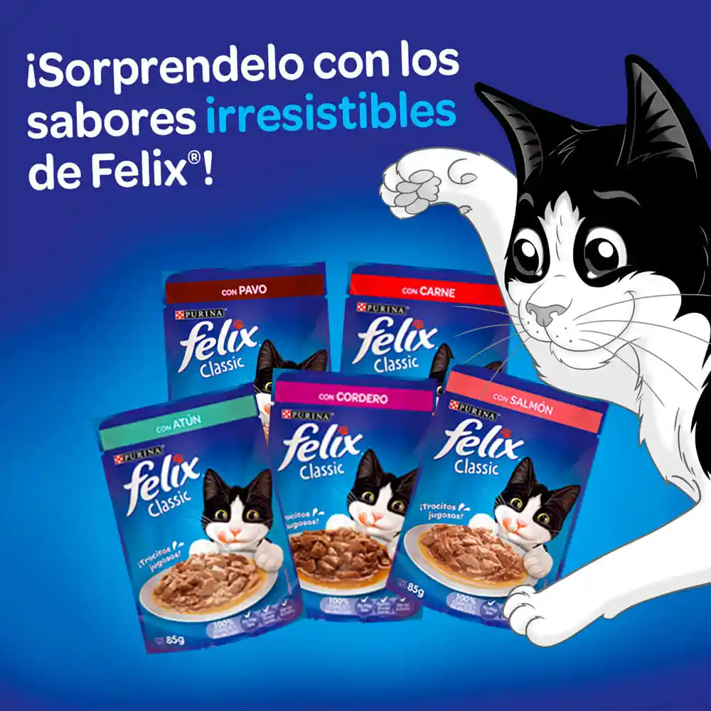 Felix Classic Adultos Carne 85 Gr