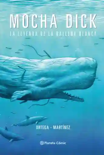 Mocha Dick: La Leyenda de la Ballena Blanca