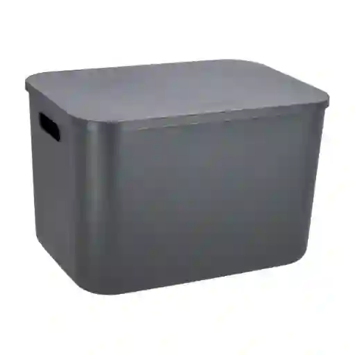 Caja Plástica Con Tapa 20 L 3226101000030