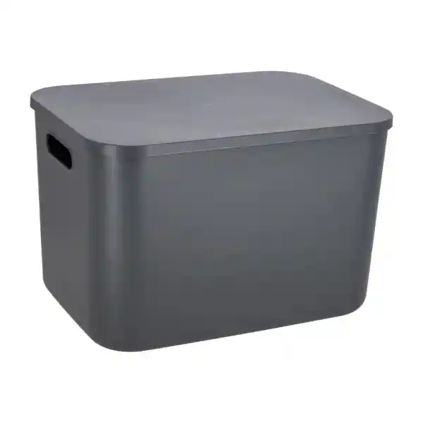 Caja Plástica Con Tapa 20 L 3226101000030