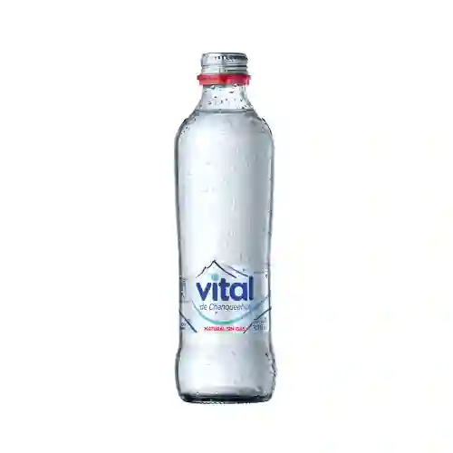 Vital Sin Gas