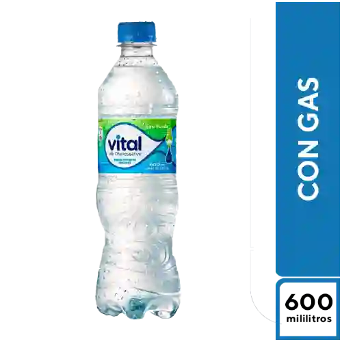 Vital con Gas 500 ml