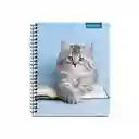 Proarte Cuaderno Universitario 100 Hojas Animales Surtido 7 mm