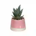 Maceta Dos Tonos Con Cactus Rosado 13 cm