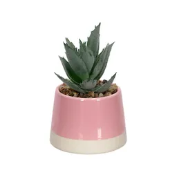 Maceta Dos Tonos Con Cactus Rosado 13 cm