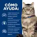 Hill's Alimento Seco para Gato Adulto