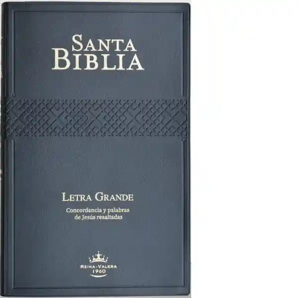 Biblia RVRO62CPJR Tapa Vinil Negra - Sociedad Bíblica Chilena