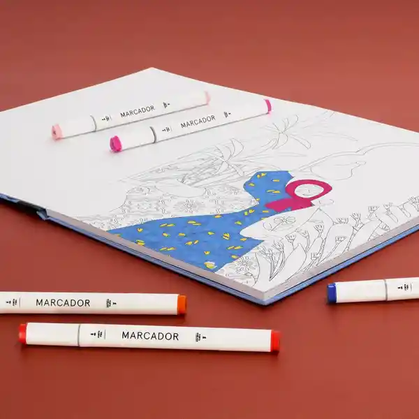 Set Marcadores Doble Punta