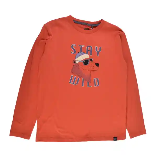 Polera Manga Larga Niño Naranja Talla 10 A Pillin