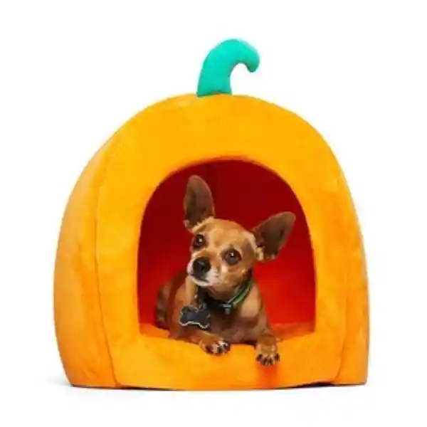 Bootique Cama en Forma de Calabaza Perro Chica