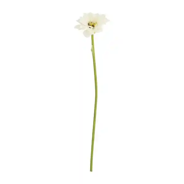 Flor Silvestre 10 x 51 cm 3119227000056