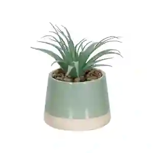 Maceta Dos Tonos Con Cactus Verde 13 cm