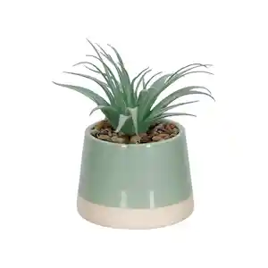 Maceta Dos Tonos Con Cactus Verde 13 cm