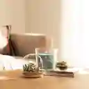 Terrario de Vidrio Con Cactus 12 cm