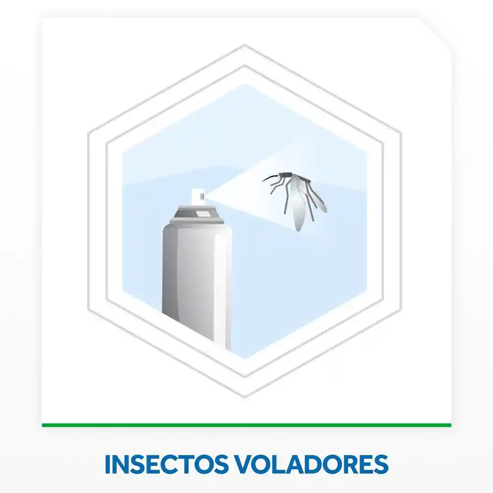 Insecticida Raid Mata Moscas y Mosquitos 360 ml