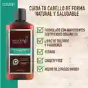 pestal fresh pure shampoo Anticaspa