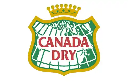 Canada Dry Bebida Ginger Ale Light 500 ml